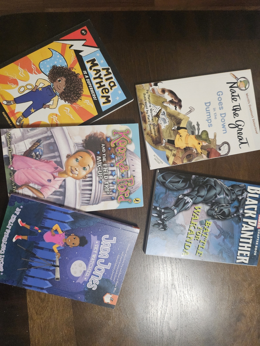 Lot Of Children's Chapter Books